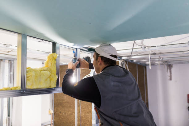 Best Geographic-Specific Insulation Services in Sparta, NC