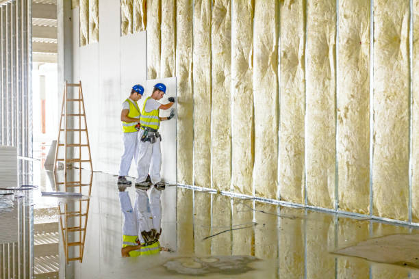 Best Cellulose Insulation in Sparta, NC